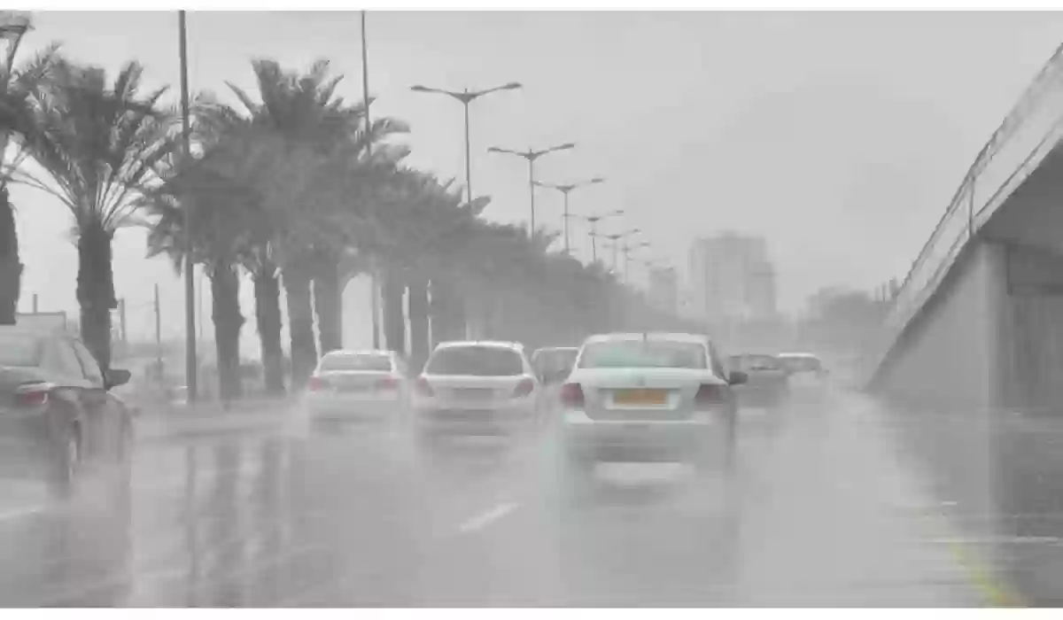 الأرصاد تحذر.. أمطار ورياح شديدة على 9 مناطق في السعودية