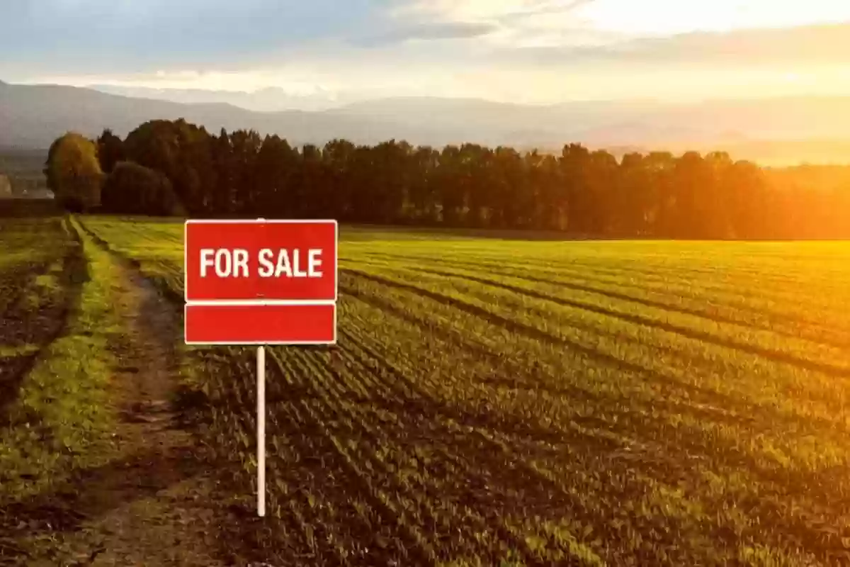 نصيحة مميزة يلزم اتباعها قبل شراء الأراضي في السعودية