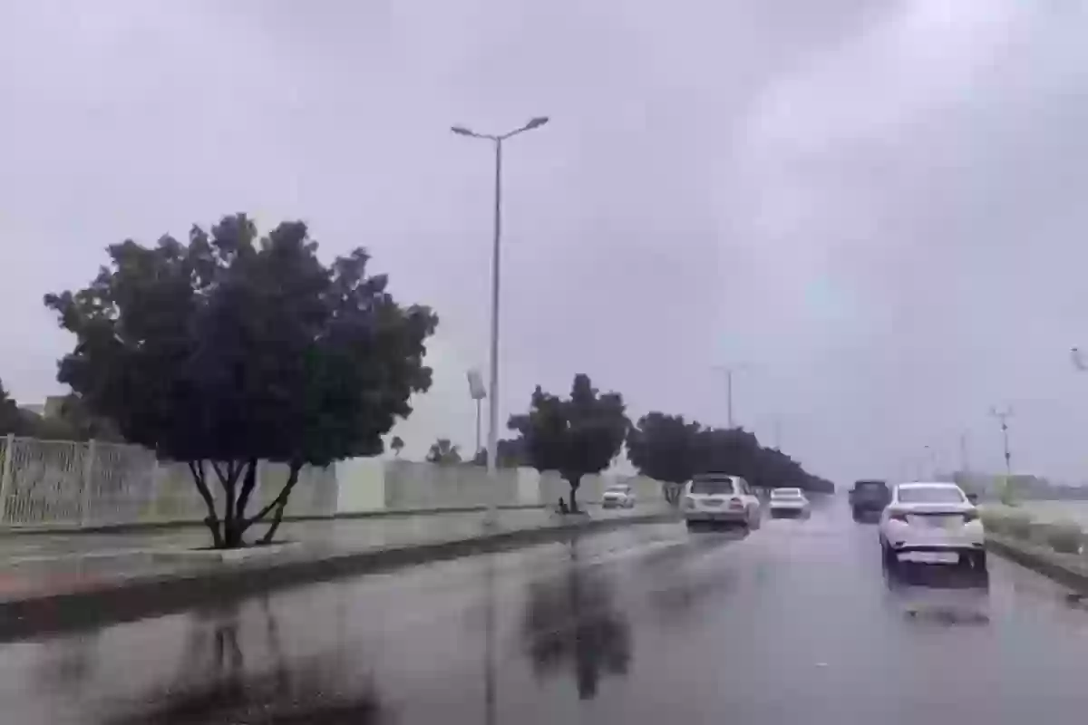 أمطار رعدية ورياح نشطة على هذه المناطق بالسعودية 