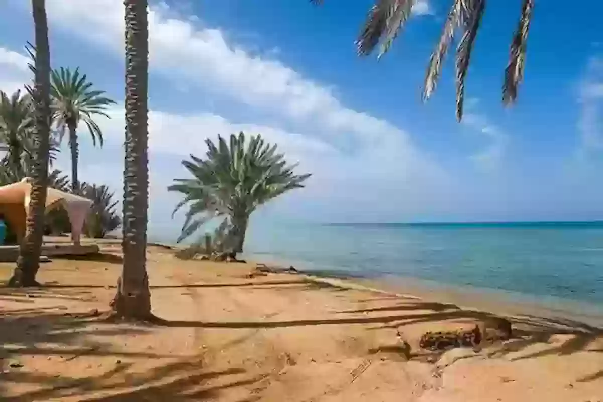 أفضل وأجمل 10 شواطئ في السعودية لا يفوتك متعتها