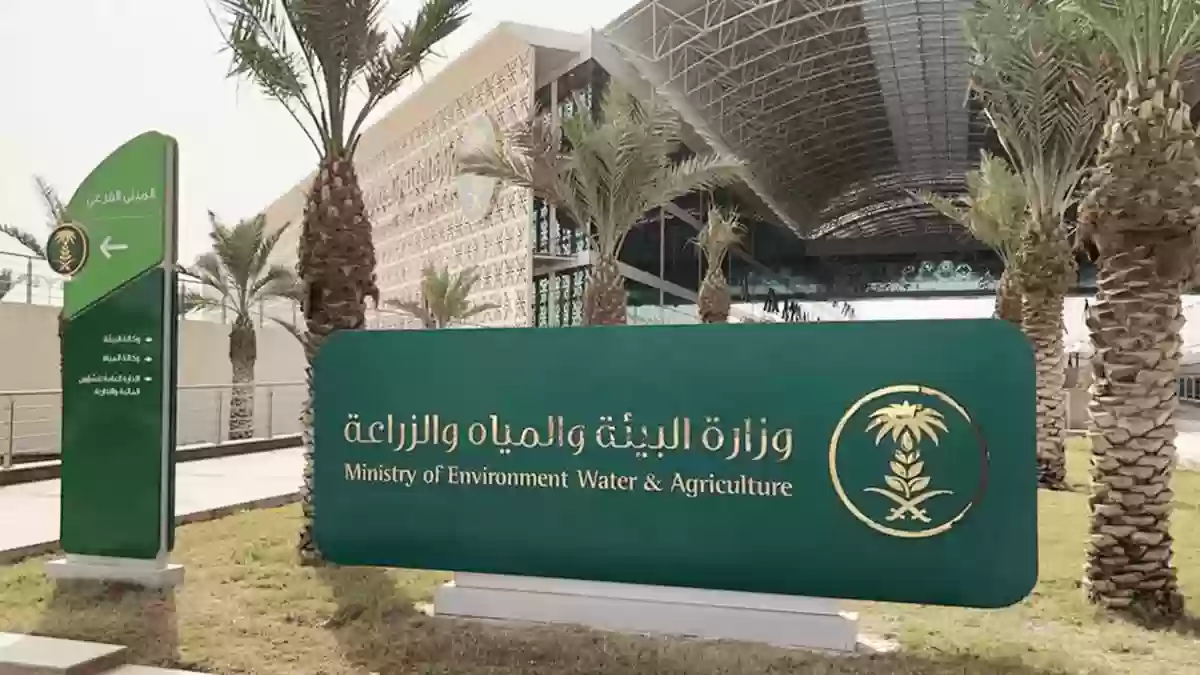 نصائح للمزارعين من أجل حماية المحصول من تقلبات الطقس.. وزارة الزراعة السعودية توضح