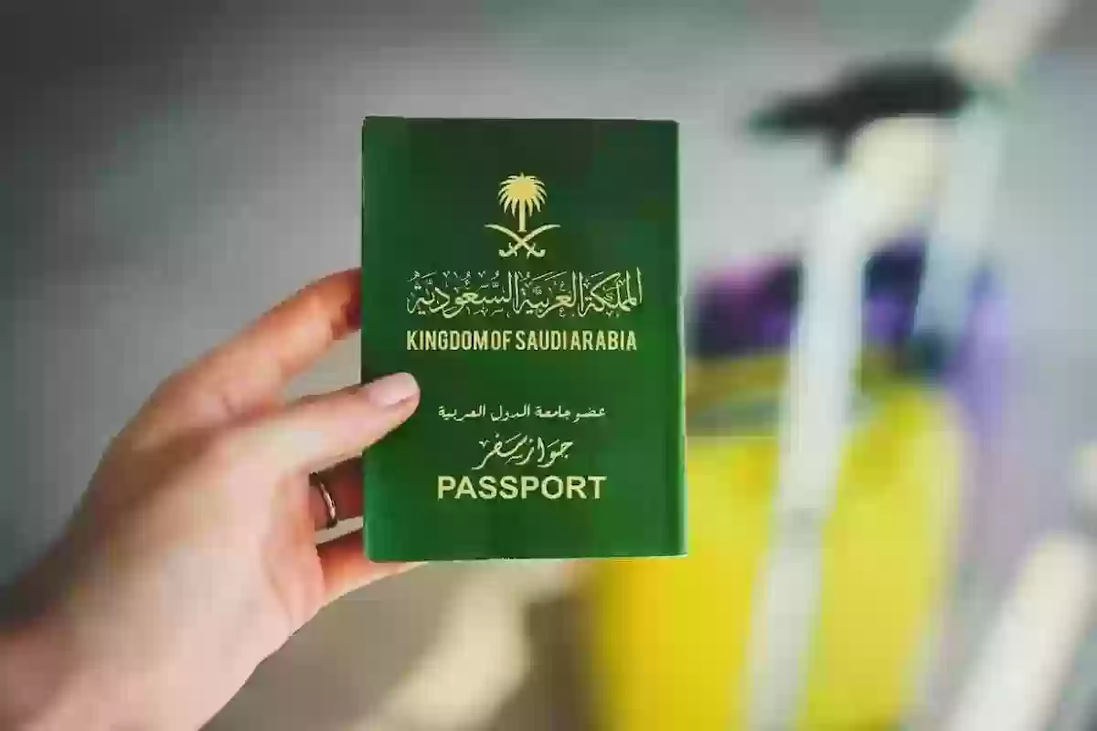 عبر منصة التأشيرات .. الاستعلام عن التأشيرة برقم الهوية