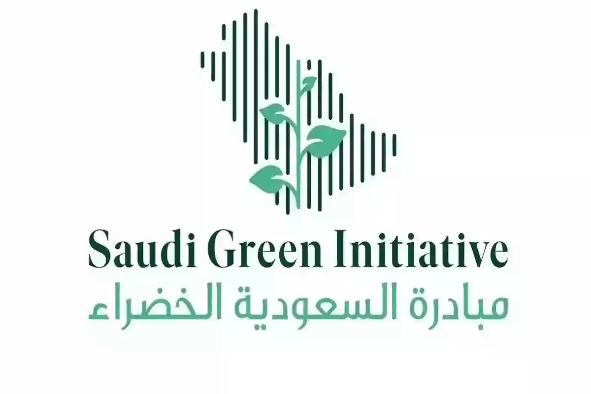 كيف تحافظ السعودية على الغابات؟ هدف مبادرة السعودية الخضراء