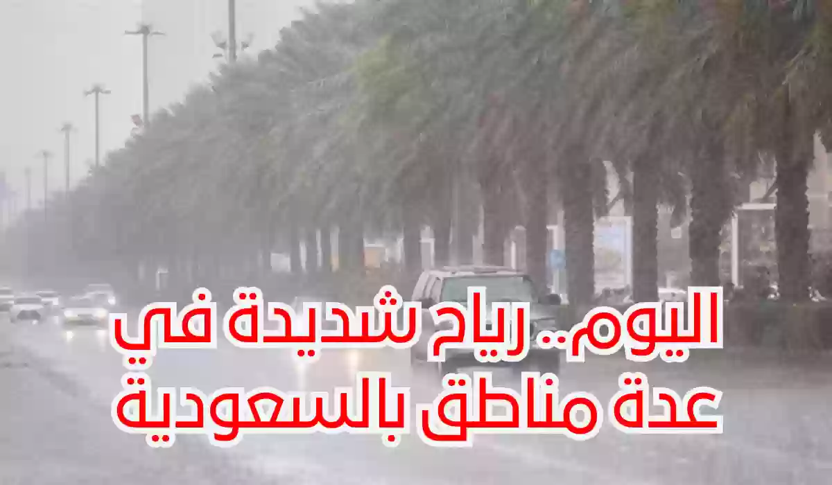 تحذيرات الأرصاد: حالة جوية متقلبة وأمطار وانعدام في الرؤية على معظم مناطق السعودية