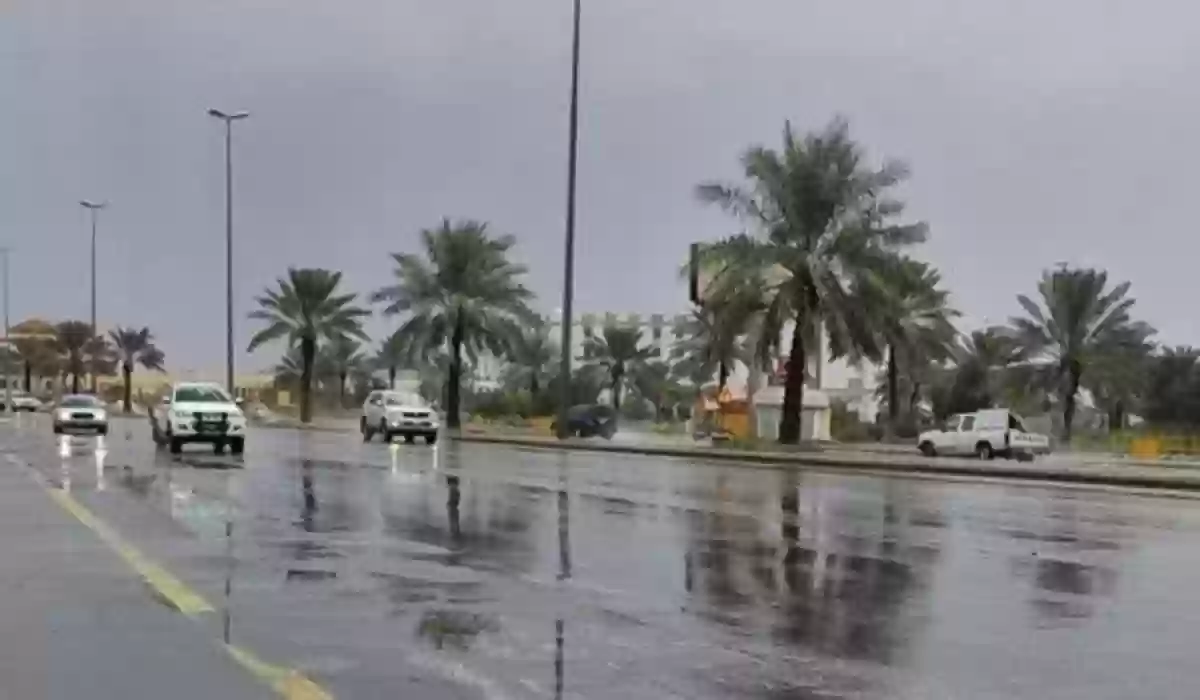 الأرصاد تطلق تحذيرات إلى 4 مناطق في السعودية: رياح وأمطار رعدية وثلوج